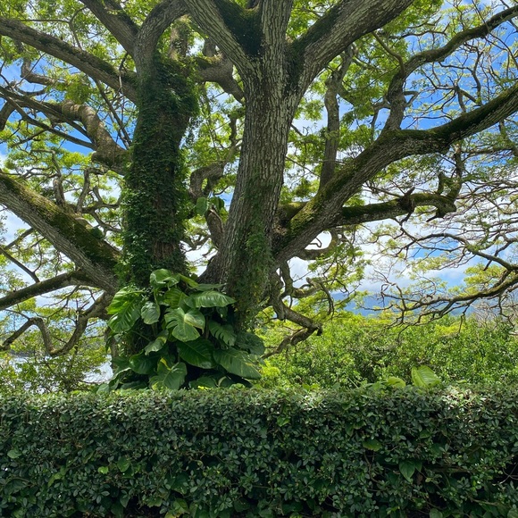 Meet your Posher, Anne - Picture 1 of 1